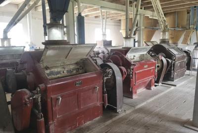 Moară cereale 50 t/zi + afacere funcțională | teren + hale | Bihor - 1