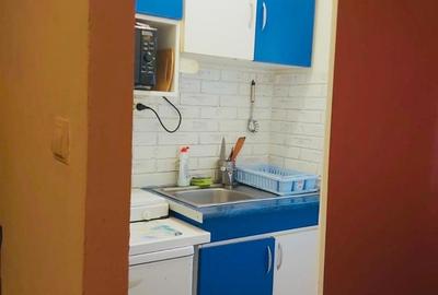 Garsoniera din uscatorie 18mp Rogerius strada Mihail Sadoveanu - 4