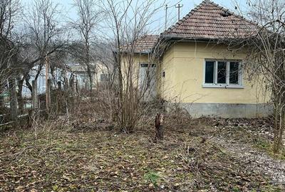 Casă individuală cu 2 camere în Platou