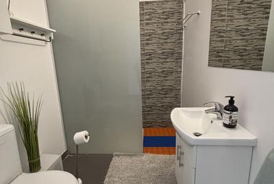 Apartament cu o camera în clădire istorică ,zona Maria - 7