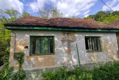 Sasca Montana | Oportunitate | Casa cu 230 MP Teren - 9