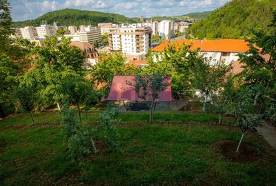 Casa superba zona centrala p+1 Resita - 38