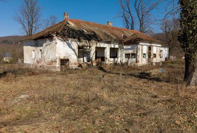 Conac nobiliar de secol XIX cu 8 camere în Maciova - 19