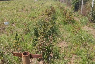 Teren de vânzare în zona Merei/Buzau - 6