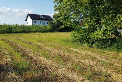 Teren intravilan de vanzare in Com. Adunatii Copaceni sat Darasti Vlasca jud GR. - 8