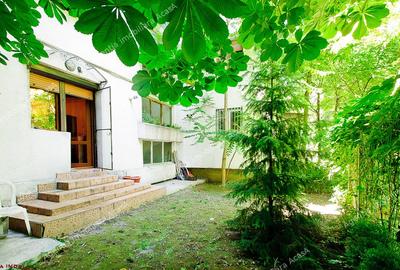 Apartament 3 camere Mazepa 1 parter iesire in gradina - 10