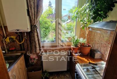 Apartament decomandat cu 2 camere mobilat si utilat,Calea Lipovei - 10