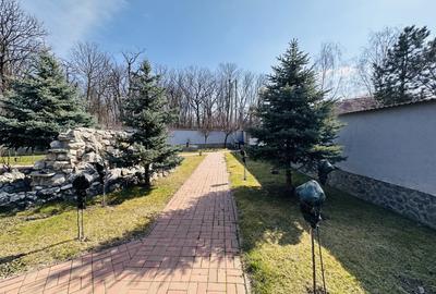 Vila superba, padure Rosu, 1000 mp teren, 310 mp construiti, Chiajna - 3