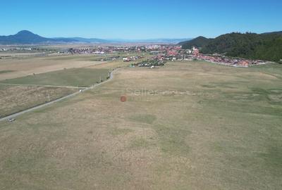 Teren extravilan Rasnov - 2