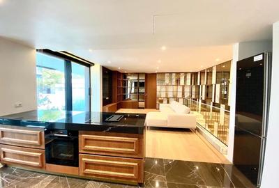 Duplex Primaverii - Charles de Gaulle - 4