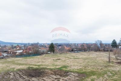 Teren 9,979mp Crizbav / Strada Crucii - 1