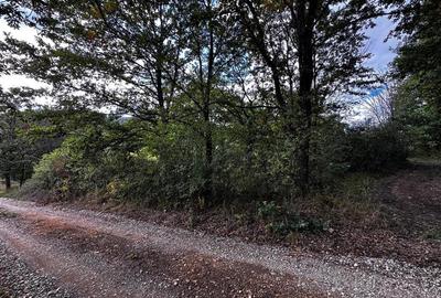 RECO Teren intravilan  Zona Vadu Crisului Bihor - 7