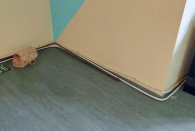 Teren 733 MP + Casa (P+1) + AFACERE LA CHEIE - 3