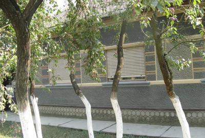 Casă de vânzare în Ineu ,jud Arad - 7