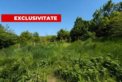 Casa Individuala - SC 154MP I ST 1577MP I Front la Strada - Vlaha - 13