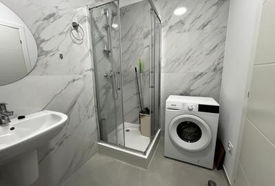 Apartament de inchiriat, o camera, Open space, 35 mp, Lunca Cetatuii - 16