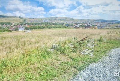 Teren Construcții intravilan de 904 mp, în Chinteni