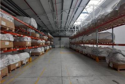 Spatiu Industrial - 6500 mp - Productie - Depozitare - 7