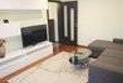 Apartament amenajat si mobilat LUX - 2