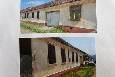 🏠 Casă cu teren de vânzare – Liubcova, jud. Caraș-Severin - 1
