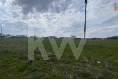 TEREN INTRAVILAN 1000 MP CARCEA - ZONA HANUL CU PONEI - 5
