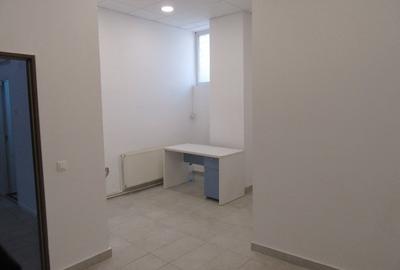 Inchiriere Spatiu Comercial Teiul Doamnei - 24