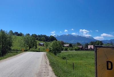Teren de vanzare - 7