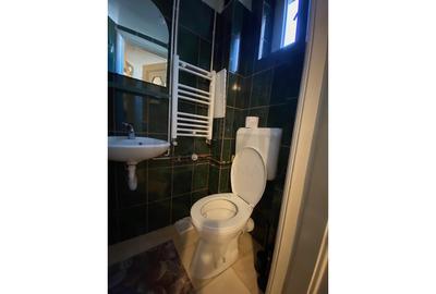 REA1028817 Apartament Unirii - Mantuleasa - fara risc seismic - 10