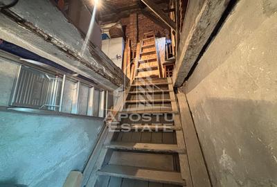 Casa 2 camere de vanzare Calea Sagului, Timisoara, curte comuna - 14