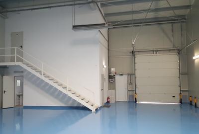 OFERTA LIMITATA  4,5 Euro Hala industriala 300 Mp - 1