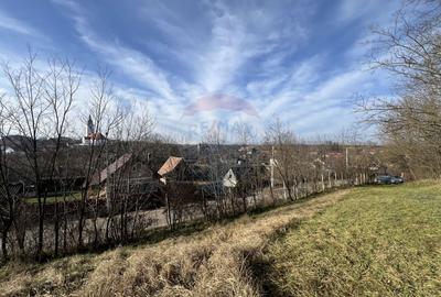 Teren intravilan, Bădeni, parcelabil - 5