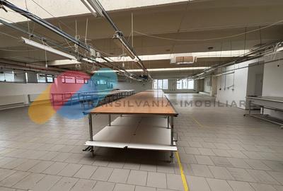 Spațiu industrial / birouri / hala - 1500 mp – Bd. Muncii, Cluj - 6
