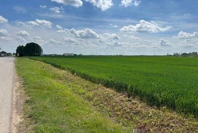 Moara Vlasiei - zona industriala, 17.000 mp - 1