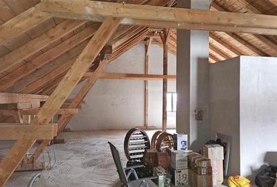 COMISION 0% CASA cu piscina pentru 2 familii Braytim Gospodarilor - 20