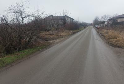 Clinceni - Olteni, Fortului, Stradal 5180 mp - 6