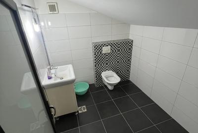 Vanzare Casa/Villa 6 camere 3 bai 3 wc -uri Dobroiesti 0% Comision - 42