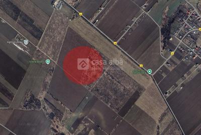 Vorovesti - 15.000mp teren extravilan - 1