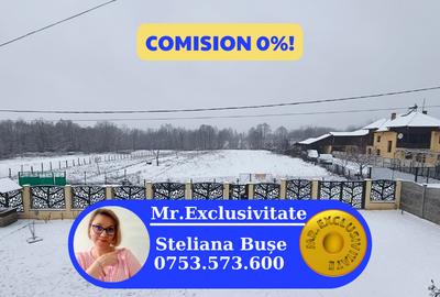 Teren mixt de vanzare Crasna Gorj, aproape de Ranca– 19.209 mp - 1