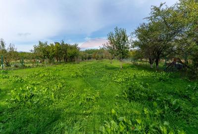 Vila  6 camere in Cristur, jud Hunedoara - 53