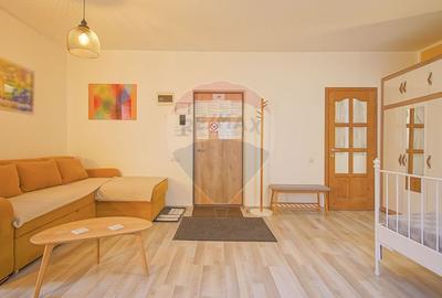 Casa cu 5 studiouri independente, terasa rooftop, vedere montana - 33