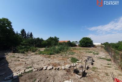 Spatiu comercial cu 4 incaperi de vanzare in Denta, zona Central - 23