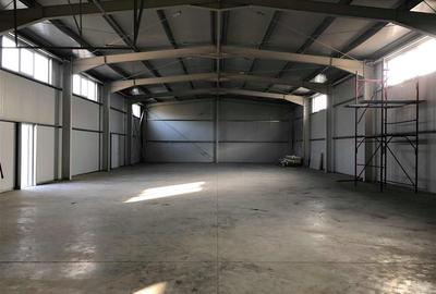 Hala noua cu/ fara chirias, 510mp, Letcani - 14
