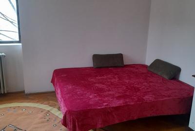 DOROBANTI ,IANCU DE HUNEDOARA GARSONIERA  PET FRIENDLY INCHIRIERE - 3