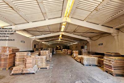 Complex imobiliar format din cladiri si constructii industriale+teren intravilan - 18