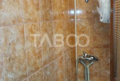 Cabana de vanzare in Ciuleni-Toplita langa lacul Cincis - 9