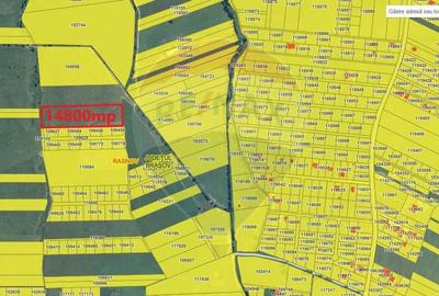 Teren Rasnov zona Glajerie-14800mp extravilan - 3