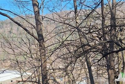 Teren Construcții intravilan de 2326 mp, în Tarcău