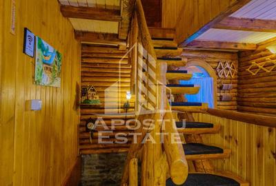 Pensiune, casa de vacanta, 6 camere, statiunea Rausor din Hunedoara - 57