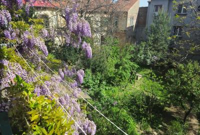 Apartament | 4 Camere | Zona Centrala | Piata Maria - 10