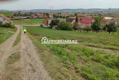 Teren intravilan 2248 mp - Nazna - 3